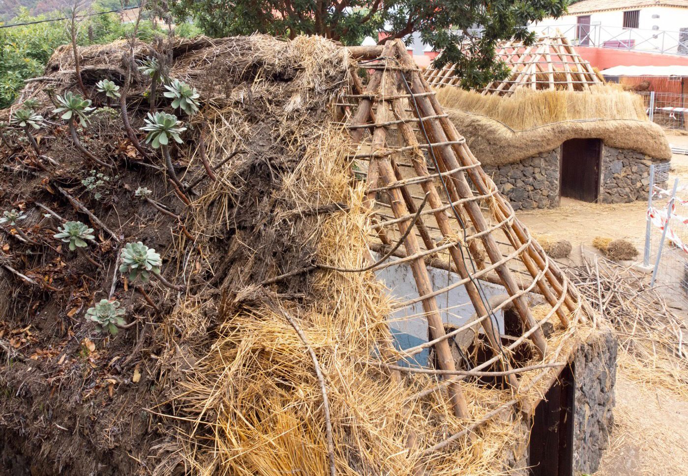 WhatsApp Image 2023-11-20 at 18.38.04