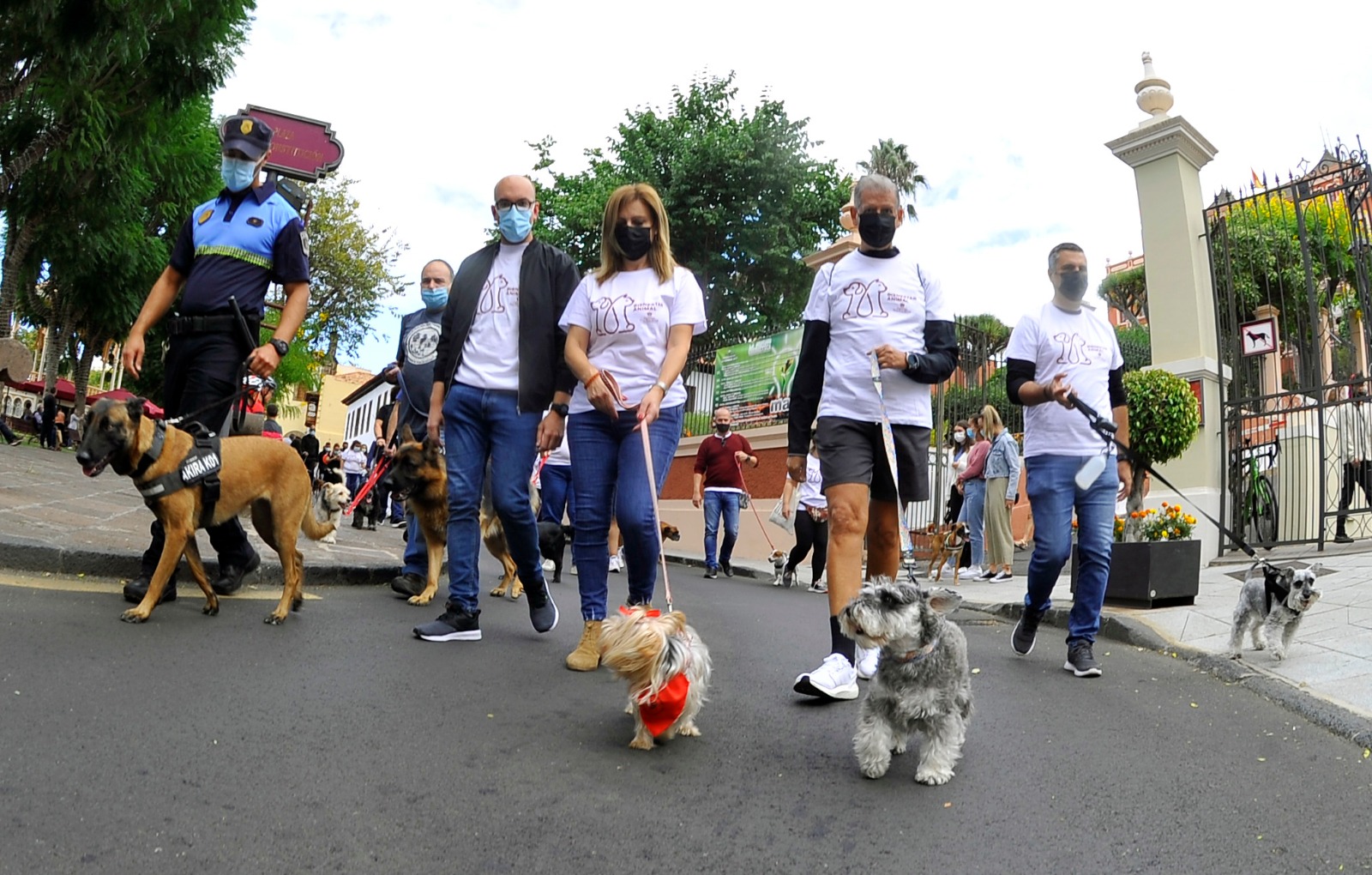 La XVIII Feria de la Ciencia y el VII el Paseo Canino, animaron este domingo el centro de La Orotava