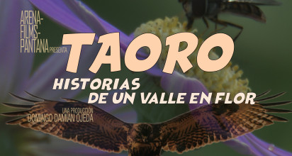 “Taoro, historias de un valle en flor”, un largometraje documental de Domingo Damián Ojeda