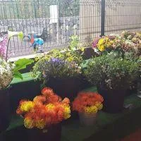 mercadillo_08