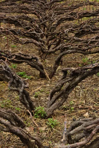 Captura de pantalla 2017-07-05 a las 21.53.01