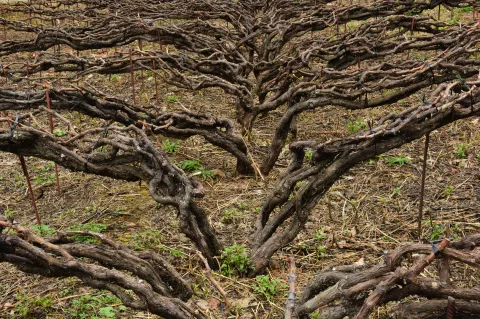 Captura de pantalla 2017-07-05 a las 21.53.08