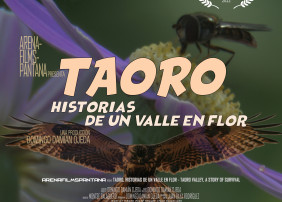 “Taoro, historias de un valle en flor”, un largometraje documental de Domingo Damián Ojeda