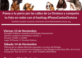 Se celebrarán diferentes recogidas solidarias entre los próximos días 13 y 15 de noviembre a beneficio de diferentes refugios  El consistorio orotavense invita a los vecinos y vecinas a pasear sus perros por las calles de la Villa y a compartir la foto en redes con el hashtag #PaseoCaninoLaOrotava