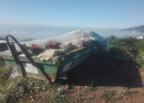 La Orotava vuelve a contar con contenedores para depositar las papas dañadas por la polilla