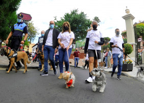 La XVIII Feria de la Ciencia y el VII el Paseo Canino, animaron este domingo el centro de La Orotava