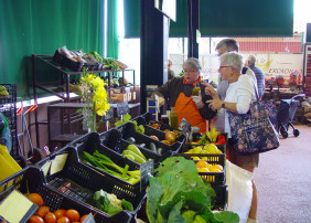 Eco La Viejita aporta más de 12.000 metros cuadrados de cultivo al Mercadillo Valle de La Orotava