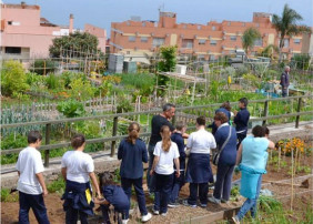 El ayuntamiento acondiciona los huertos ecológicos urbanos, todo un referente de sostenibilidad en Canarias