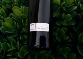 La D.O. Valle de La Orotava presenta su nueva contraetiqueta, sello de calidad de sus vinos