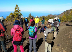 El consistorio villero ofrece rutas temáticas para conocer mejor los espacios naturales protegidos de Tenerife