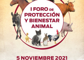 El acto, organizado por la Concejalía de Bienestar Animal, tendrá lugar este viernes 5 de noviembre, a partir de las 10:00 horas, en La Perdoma