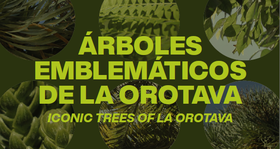 Árboles Emblemáticos de La Orotava