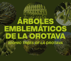 Banner Arboles Emblematicos